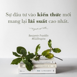 Hãy vào facebook Tết Là Tết dạo 1 vòng, xem nghề này có làm cho bạn hứng thú không tại Quảng Nam