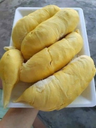 Sầu riêng hôm nay em vẫn bán giá yêu thương nhất từ trước đến giờ cho mọi người nhé tại Quảng Nam