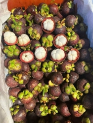 Măng cụt thái ngon rẻ tại Quảng Nam