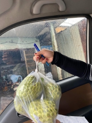  siêu rẻ nha tại Quảng Nam