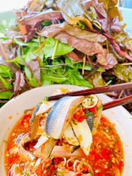 Gỏi Cá Lam Ngọc - Cá mới về tươi rói, ngon tuyệt vời! tại Quảng Nam