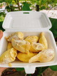 Cơm sầu rụng tại Quảng Nam