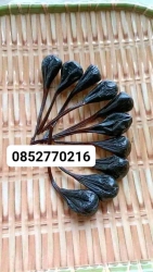 Sản phẩm chăm sóc sức khỏe hiệu quả tại Quảng Nam