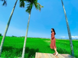 Bán đất view ruộng lúa mát mẻ tại Quảng Nam tại Quảng Nam