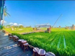 Chào bán Lô Đất Diện Tích 600m2 ở Tam Kỳ tại Quảng Nam
