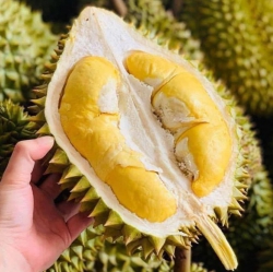 tại Quảng Nam