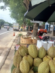  tại Quảng Nam