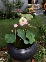 79 GARDEN SCENE tại Quảng Nam