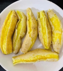 KHOAI SỮA THÁI - SIÊU PHẨM tại Quảng Nam
