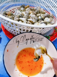 Ốc Nhảy Sống To tại Quảng Nam