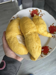 E về được ít sầu giá trị ân cho khách tại Quảng Nam