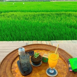 Bán đất ở vị trí sát rạt HỘI AN tại Quảng Nam
