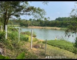 Chào bán lô đất thuộc thôn Diệu Phong, Hòa Nhơn, đường bê tông, dân đông đúc, gần chợ, gần trường, tiện ích đầy đủ tại Quảng Nam