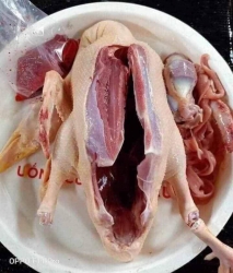 Chiều nay em có vịt chạy đồng chỉ có tại Quảng Nam