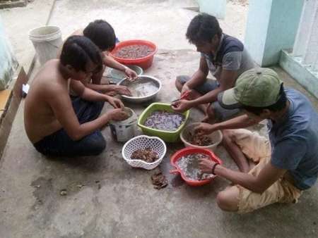 Nhà Hường đã có dế cơm đồng thiên nhiên tại Quảng Nam