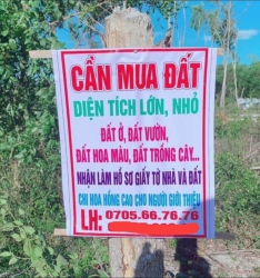 Mình ai có đất cần bán liên hệ ạ tại Quảng Nam