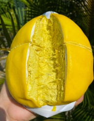 Bánh Crepe Sầu Riêng Miền Tây tại Quảng Nam