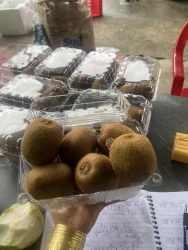 o e miễn síp nha tại Quảng Nam