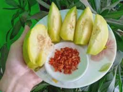 Bán sản phẩm nông sản, thực phẩm tươi sống tại Quảng Nam