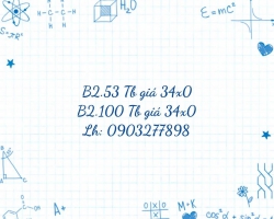 Nắm Chắc Chủ tại Quảng Nam