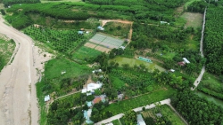 Cần bán 500m có 200m đất ở tại Quảng Nam