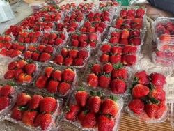 ch gộp đơn nhiều món ủng hộ e nha tại Quảng Nam