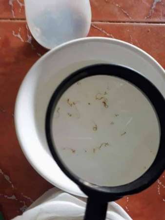 Nhà mình ai bị Đau răng, sâu răng, chảy máu răng.. liên hệ mình nhé tại Quảng Nam