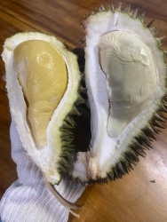 Duy nhất 1 ngày sale bánh nóc tại Quảng Nam