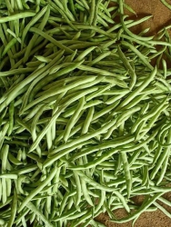  tại Quảng Nam