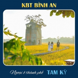Nhất định phải mua lô đất này vì tại Quảng Nam