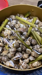 EM sẵn ốc nhảy rồi nha tại Quảng Nam