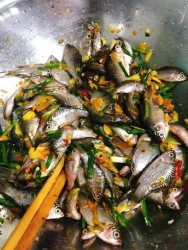  cấn sông nhỏ ngon lắm mấy chị trời này kho mặn ăn hết cơm tại Quảng Nam