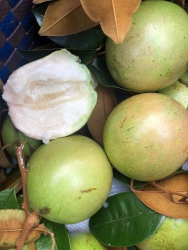 Cửa hàng trái cây - Giao hàng tận nhà tại Quảng Nam