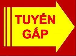 Công ty TNHH Duy Thanh cần tuyển 4 tài xế B2 giao hàng Vinamilk tại Quảng Nam