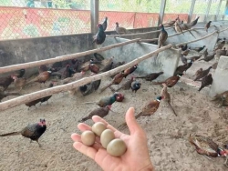 Bộ sản phẩm trang điểm chuyên nghiệp tại Quảng Nam