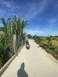 150m2 Full ONT View Đồng Mát Mẻ không khí Trong Lành tại Quảng Nam