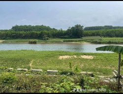 Chào bán lô đất thuộc thôn Diệu Phong Hòa Nhơn, đường bê tông, dân đông đông đúc, gần chợ, gần trường, tiện ích đầy đủ tại Quảng Nam
