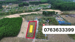 1000m đất trồng cây hằng năm tại Quảng Nam