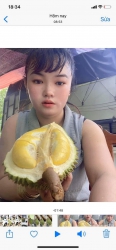 Sầu Musaking ngon, hạt siêu lép, múi nhiều tại Quảng Nam