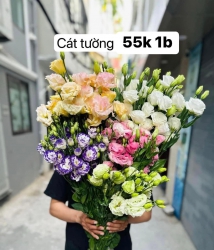  hoa ngày mai 14 nhà đ có... tại Quảng Nam