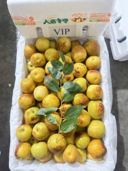 Menu Sớm Cho Khách Lựa Chon tại Quảng Nam