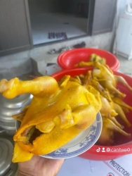 Sỉ Lẻ GÀ Ủ MUỐI tại Quảng Nam