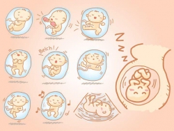 Hướng dẫn theo dõi cử động thai cho các mẹ bầu tại Quảng Nam