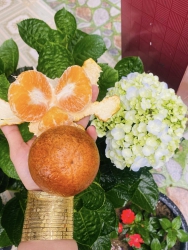 ch tại Quảng Nam