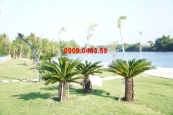 Lô đất đôi 250m2 View trực diện sông Phước Giang tại Quảng Nam