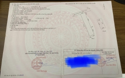 p tại Quảng Nam