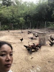 Quán Thảo bờ kè VĒ - Bún chả cá nhà làm, Bún cá ngừ đi lưới, Mỳ gà ta tại Quảng Nam