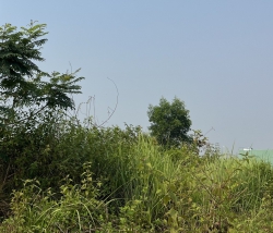 Chỉ 750 triệu sở hữu ngay lô đất tại Hoà Phước, Đà Nẵng tại Quảng Nam