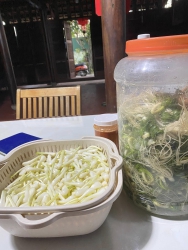  trích và sứa tại Quảng Nam