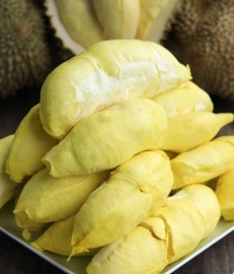 Bán Sản Phẩm Nông Sản Tươi Sống tại Quảng Nam